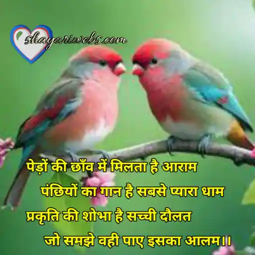 Nature shayari 