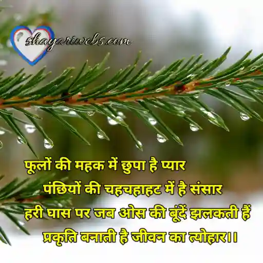 Nature shayari 